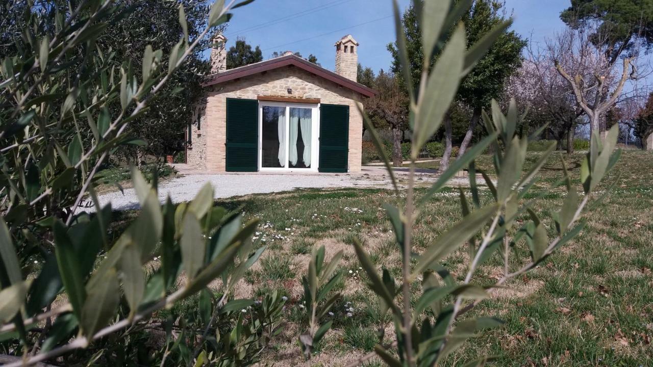 Domus Filmar Villa Pesaro Exteriör bild