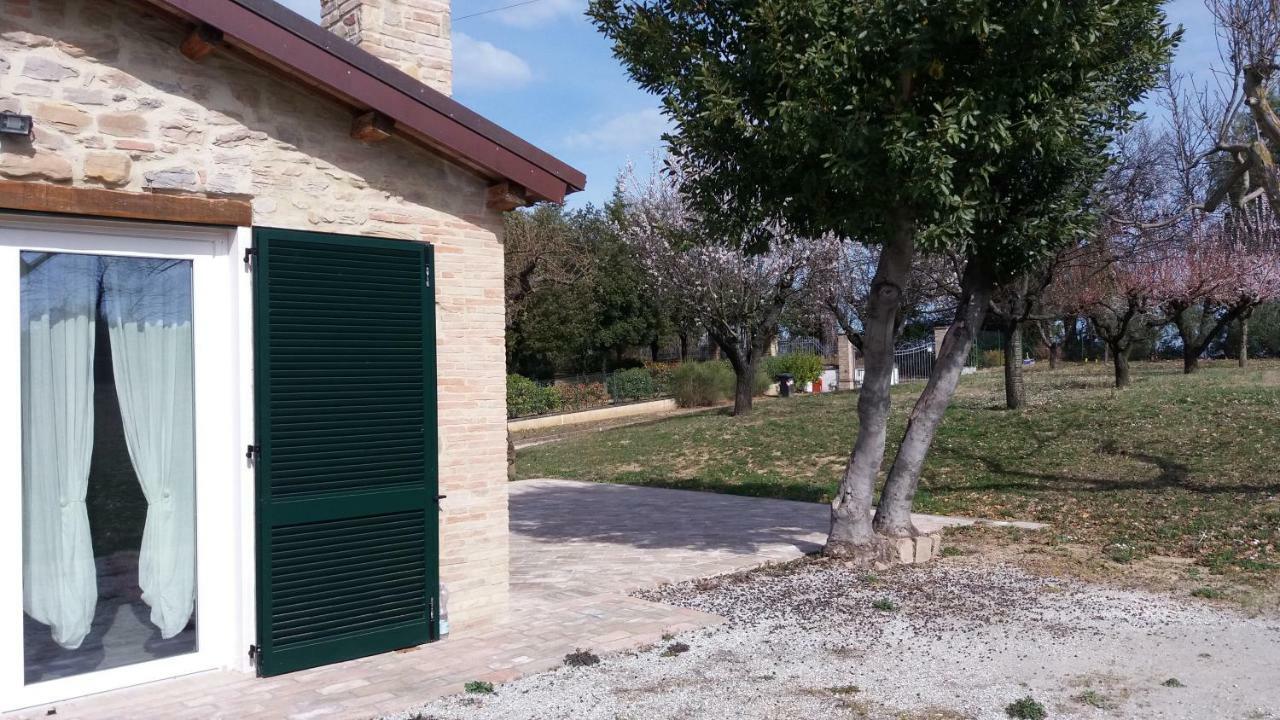 Domus Filmar Villa Pesaro Exteriör bild