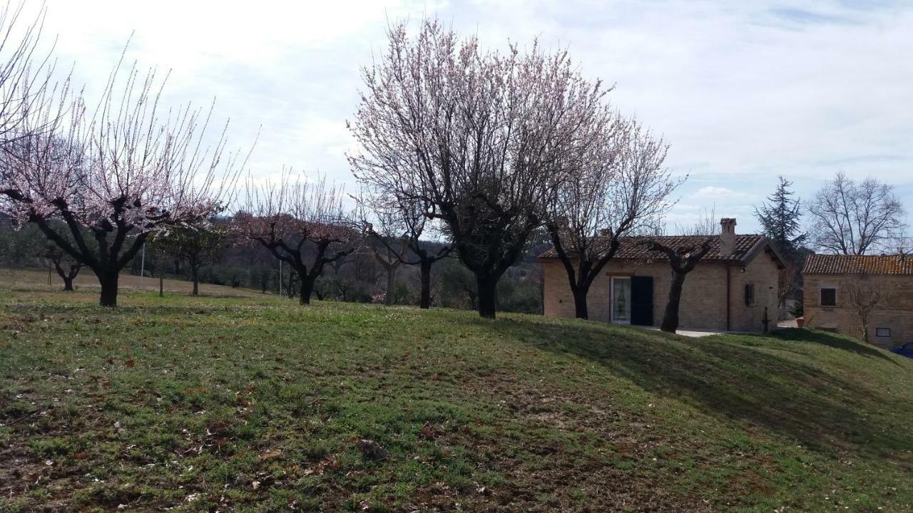 Domus Filmar Villa Pesaro Exteriör bild